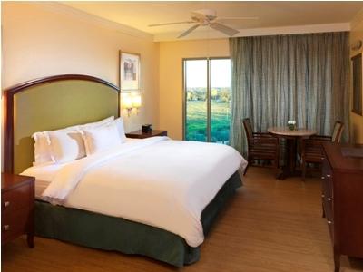 Hilton Grand Vacations Club Parc Soleil Orlando Resort Williamsburg